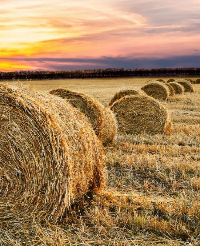 Haystack-Por