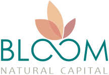 logo-colour